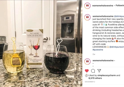 Influencer Marketing Case Study