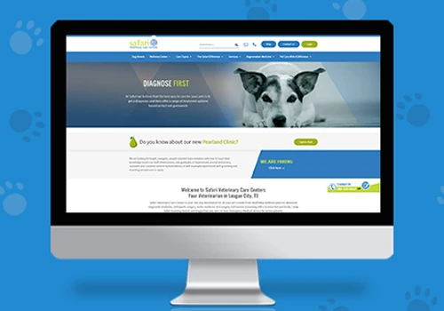 Vet Care Website Development