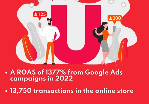 +1300% ROAS with Google Ads in e-commerce - France