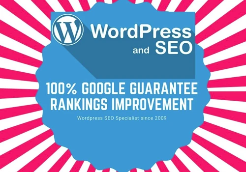 Wordpress SEO eCommerce + Local Business