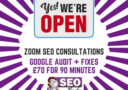 SEO Consultation + Google Audit