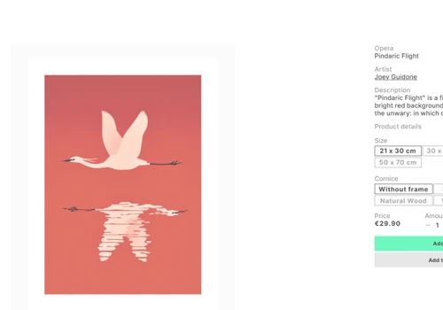 Illustation: Shopify Migration & Redesign