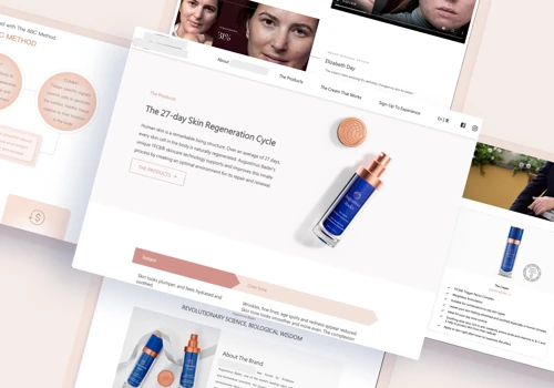 Website Desgin