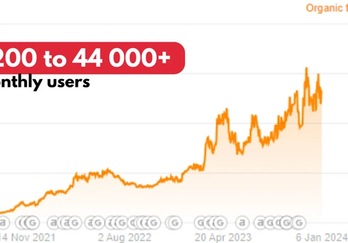 1200 to 44 000+ organic traffic