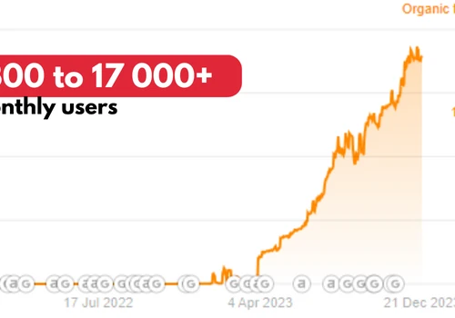 300 to 17 000+ organic traffic