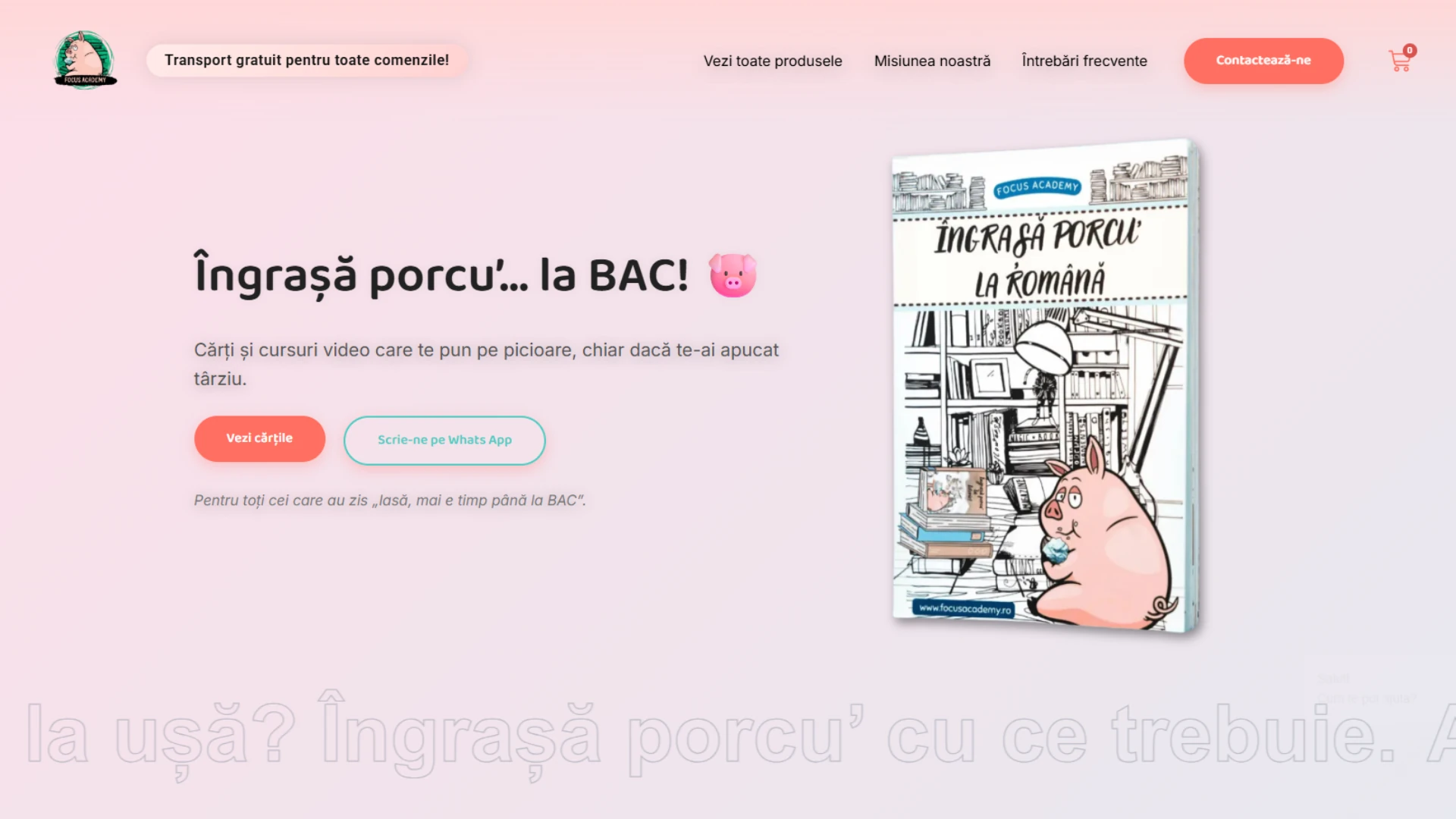 Educational platform with online courses