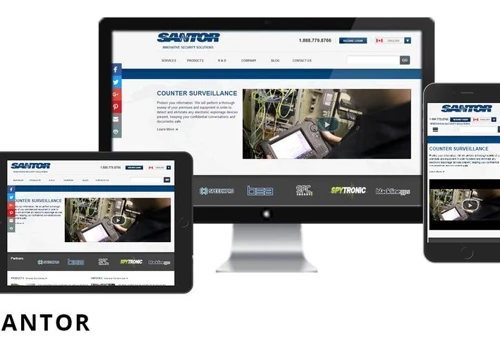 Web Development for Santor