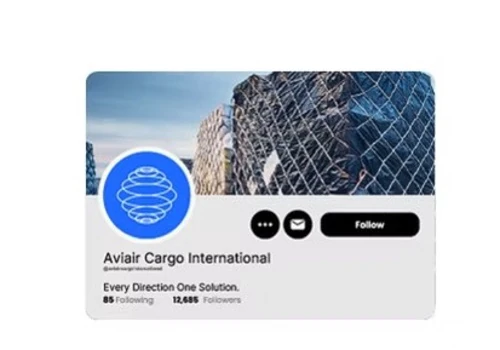 Aviair Branding