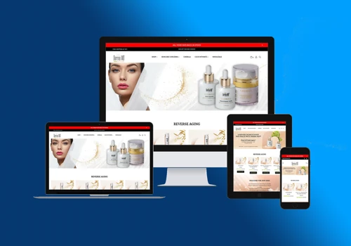 Skinare Company Website Development