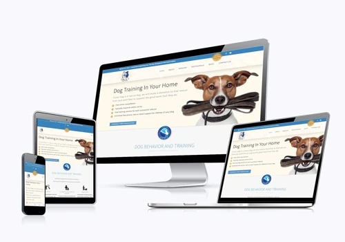 Takacs Dog Training
