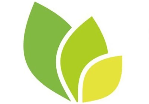 Web Development for True lender