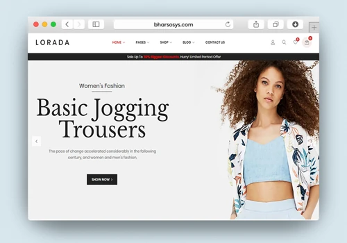 Ecommerce Website Development