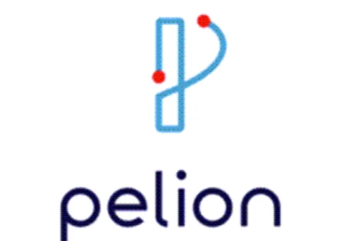 Pelion Corp Site Rapid Build and Launch