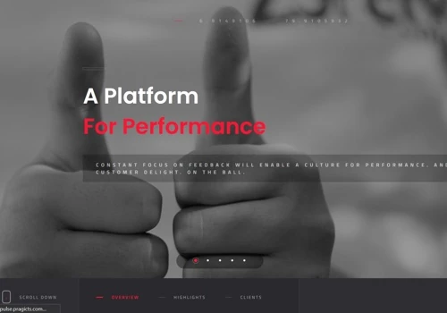 Software Development (Pulse)