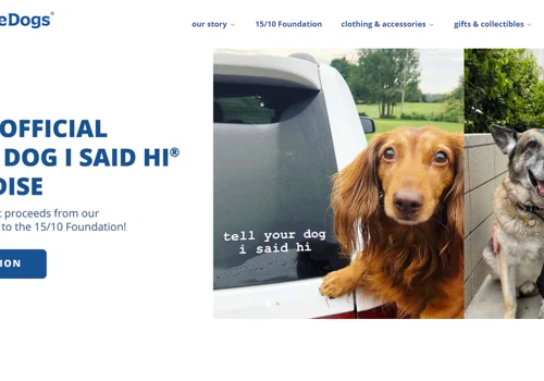 Dog Lifestyle - Paid Ads (Meta, Google, Pinterest)
