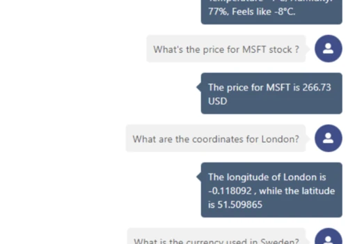 Custom Chatbot