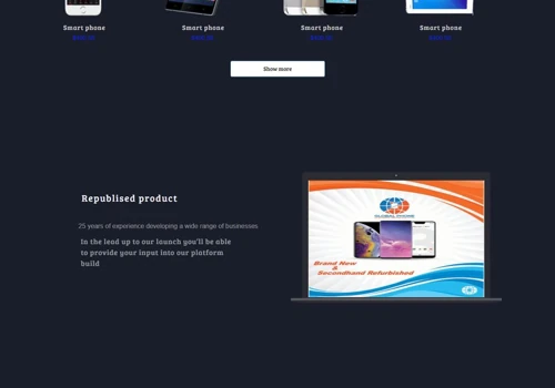 Web Design