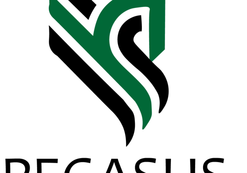 Pegasus Services Logo, Website, Branding