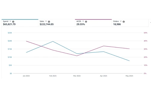 Driving $222K Sales with 29% ACOS in 5 Months