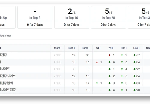 Increased Organic Traffic by 5X in 3 Months