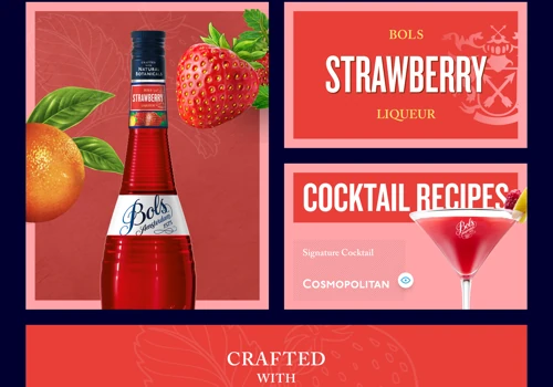 Lucas Bols Cocktail Gallery