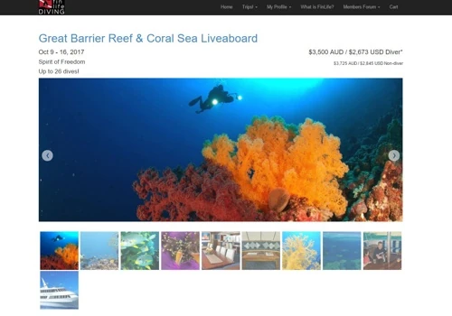 Web Design for FinLifeDiving
