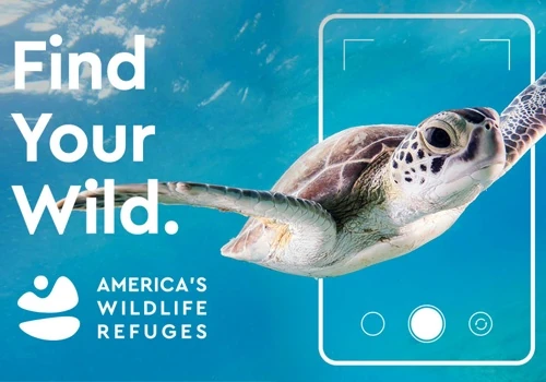 America's Wildlife Refuges Rebrand