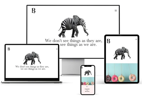 Branquila with Strategic Web Design and Branding