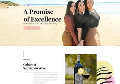 Website Design A Promise Of Excellence