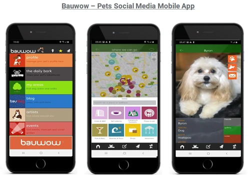 Bauwow - Pet Social Media Mobile App Portfolio