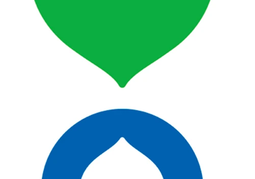 Project management consultation