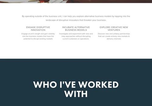 Website for independent consultant