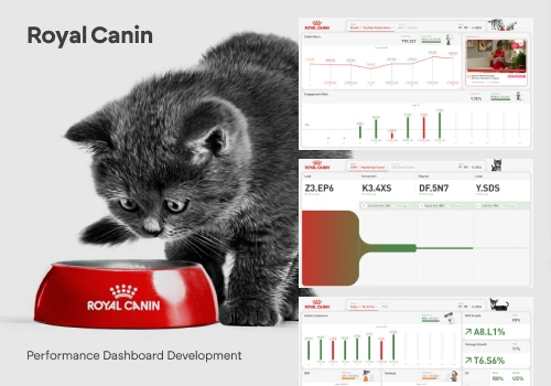 Performance Dashboard Design and Development