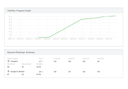 Global Performance: 146% SEO Growth & High ROI