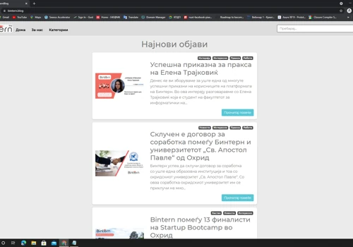 Bintern Blog