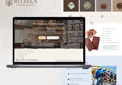 E-Commerce Website Design & Development