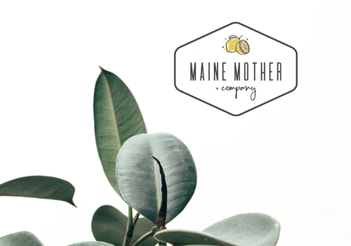 Company Logo for Maine Mother