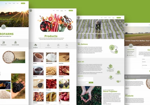 Branding and Website Design & Development