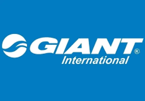 Giant International Project