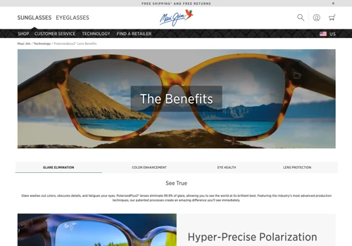 Integrated Accessibility Compliance for Maui Jim Sites