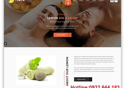 thiet ke web wordpress