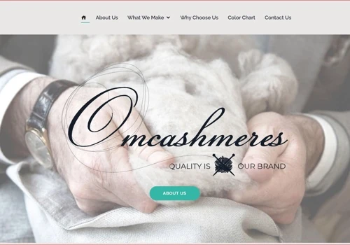Website Design & development