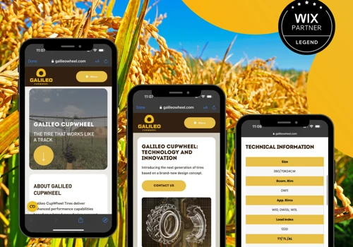 Wix Studio Website Design | Wix Development
