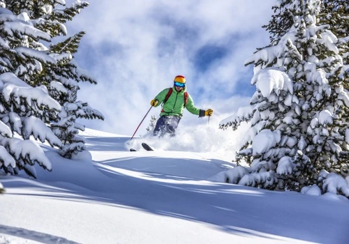 Launching a Resort Association - Silver Star