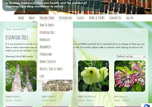 Website Redesign and eCommerce Building