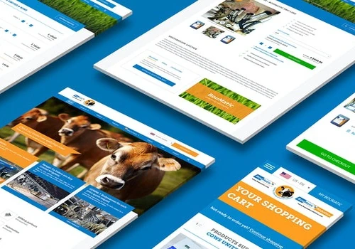 Global website with B2B webshop - Boumatic