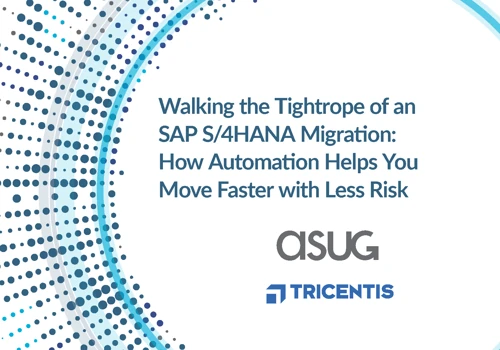 Walking the Tightrope of an SAP S/4HANA Migration