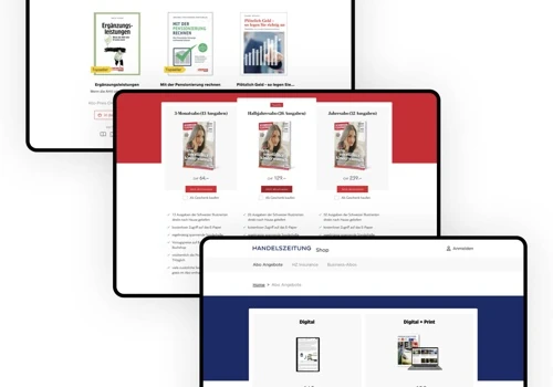 Modernisierung von 16 E-Commerce Shops
