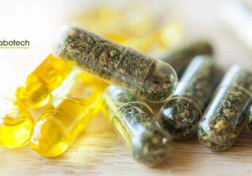 CannaboTech Pharmaceutical Startup