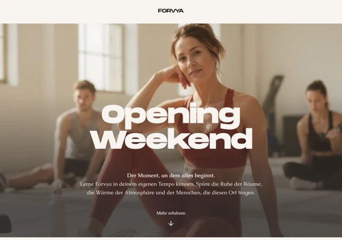 Branding and Conversion-Focused Website for Forvya